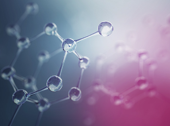 Phycocyanine pour compléments alimentaires